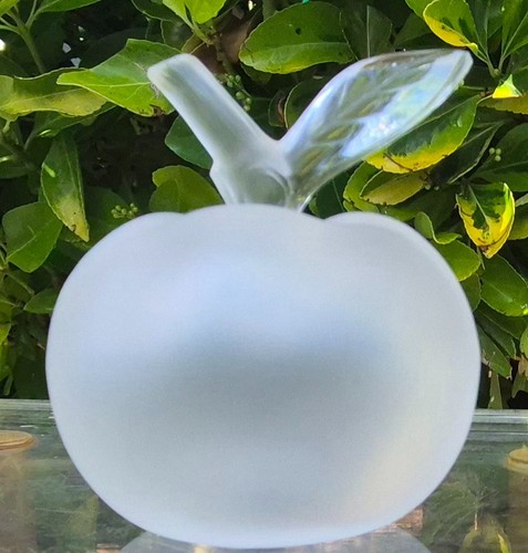 Lalique france flacon - lalique,