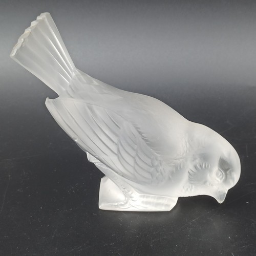 René lalique moineau - -, /