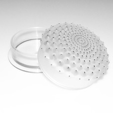 Boîte à poudre Cactus en